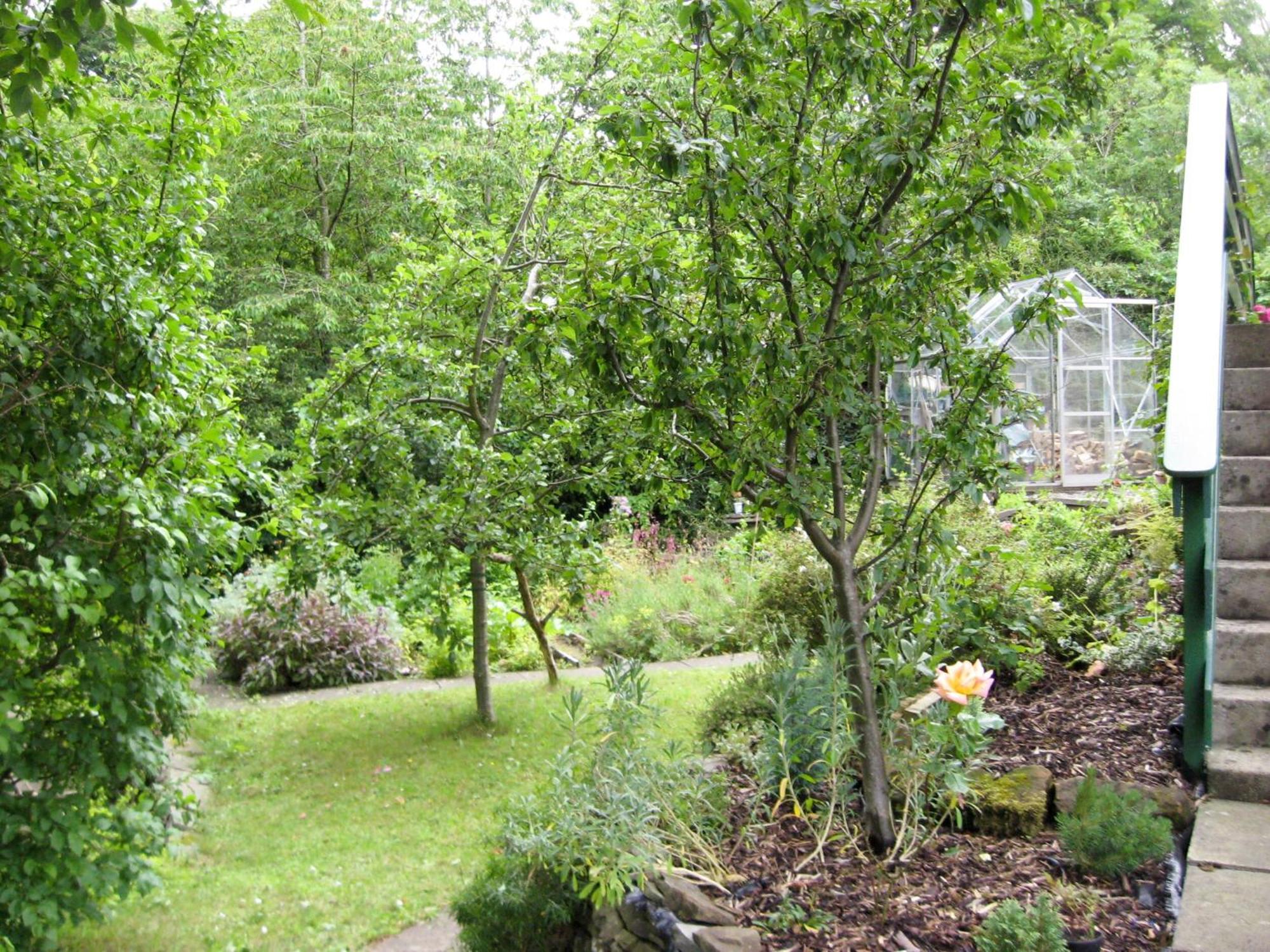 Burnside Villa St Andrews Exterior photo